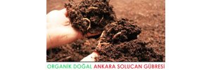 Akyurt Organik Doğal Solucan Gübresi
